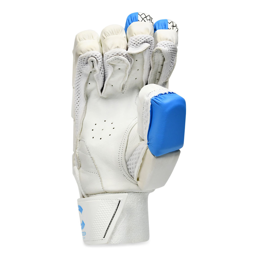 Champ legend Batting Gloves - blue - Image 4
