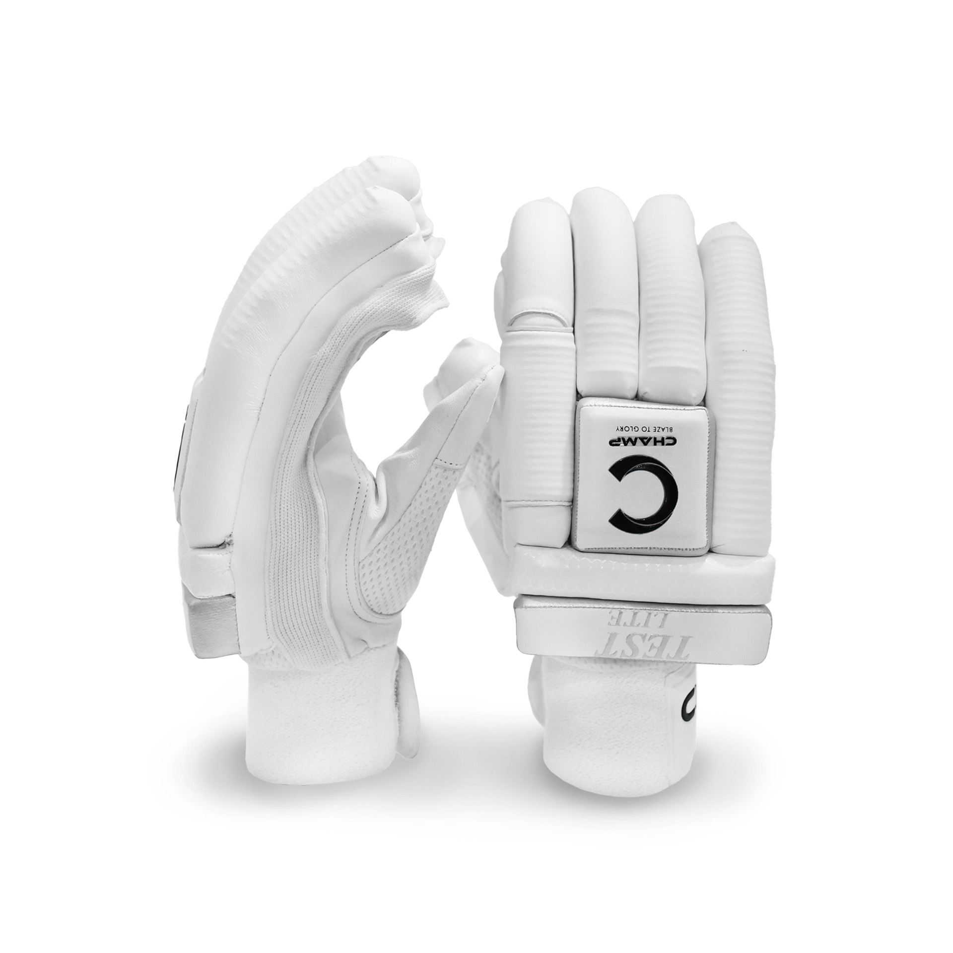 Champ Test Lite Batting gloves – White/Silver | Champ Sports SA