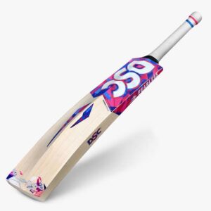 DSC Intense Attitude English Willow Cricket Bat - Harrow - Parallel Import