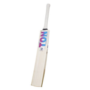 SS Lhuan Dre Pretorius Blaster E.W Cricket Bat - Harrow