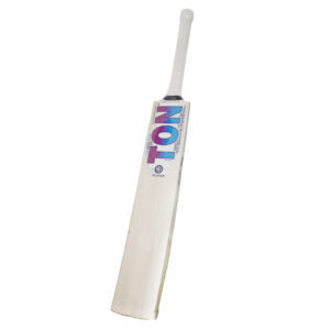 SS Lhuan Dre Pretorius Player E.W Cricket Bat - Harrow