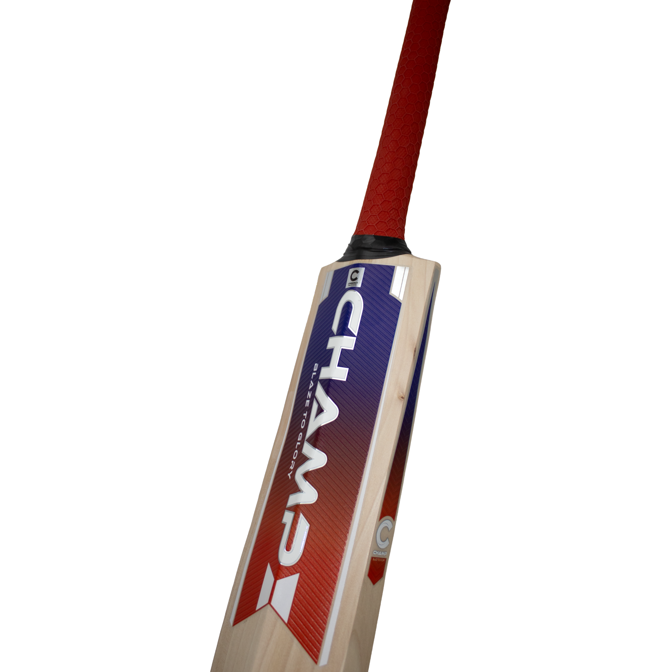 Bats: Champ